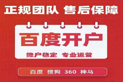 SEM推广案例：提升网站转化率策略解析